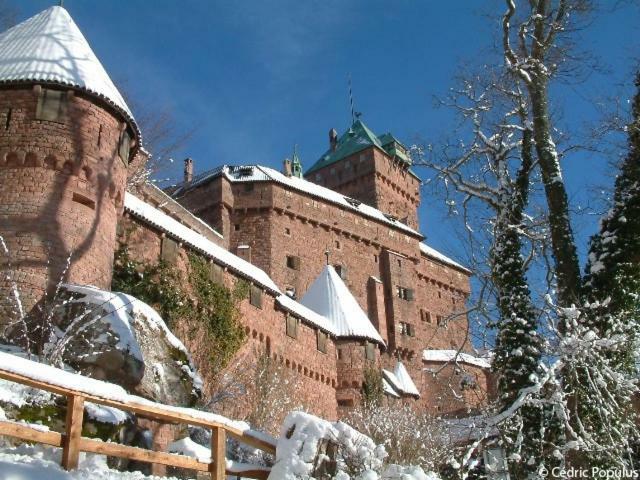 Апартаменты Studio Sisley Эшау Экстерьер фото